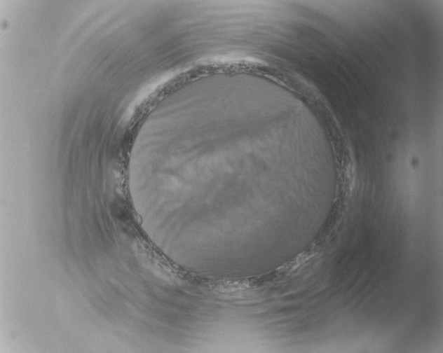 X0000051260823200507152213