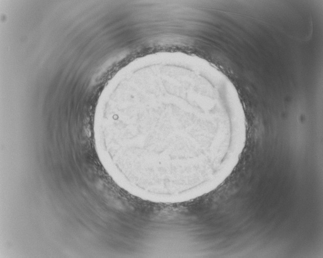 X0000051260824200507152213