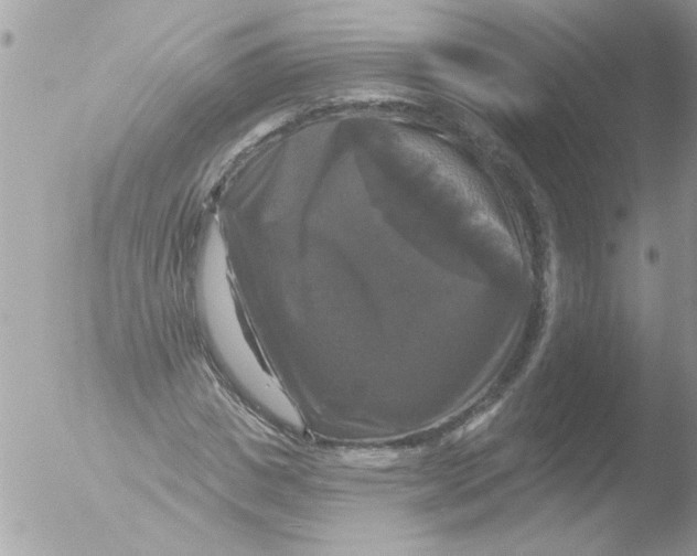 X0000051260825200507152213