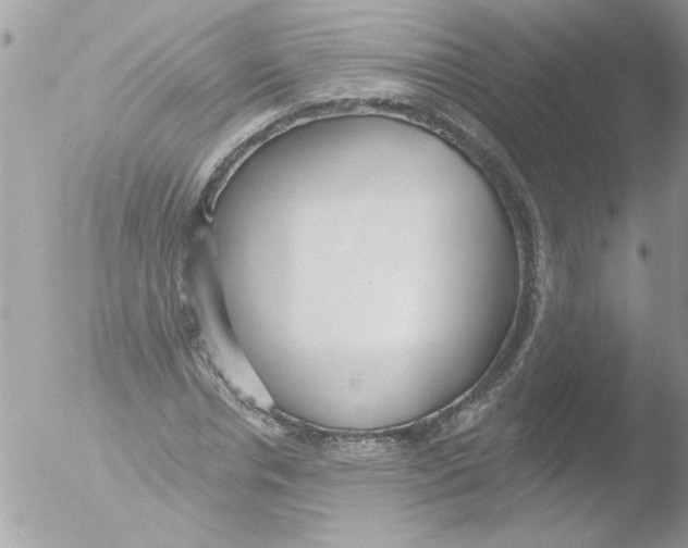 X0000051260826200507152213