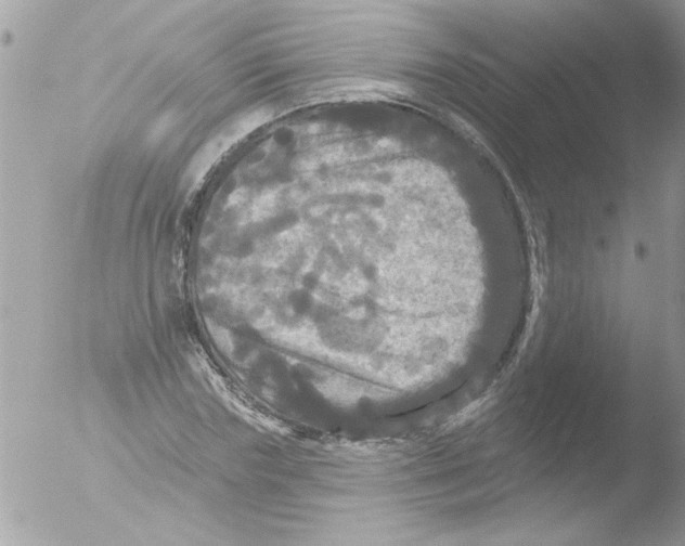 X0000051260827200507152213