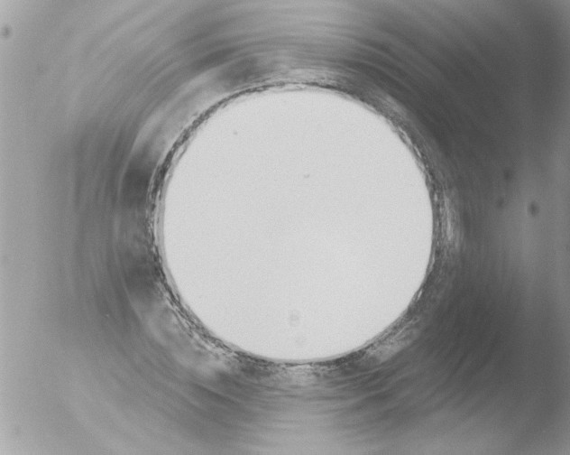 X0000051260828200507152213