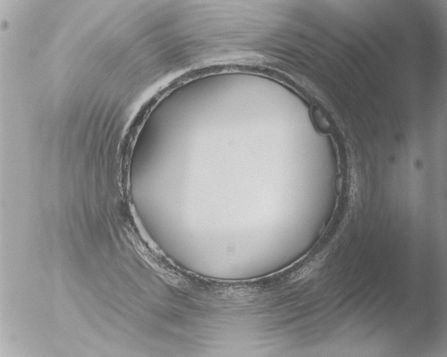 X0000051260830200507152213