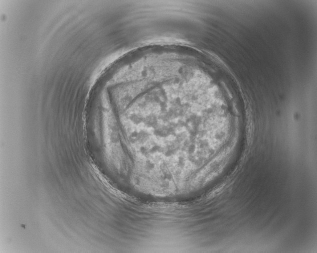 X0000051260831200507152213