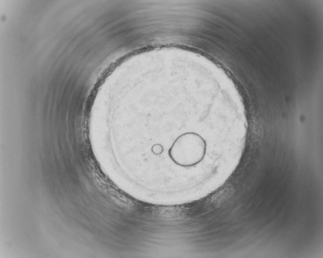 X0000051260832200507152213