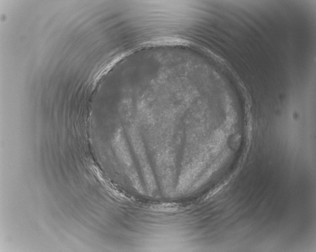 X0000051260833200507152213