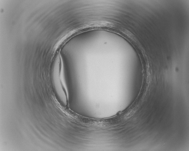 X0000051260834200507152213