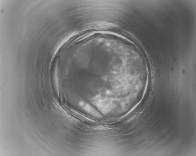 X0000051260835200507152213