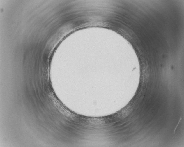 X0000051260836200507152213