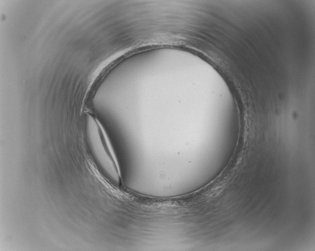 X0000051260838200507152213