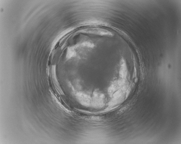 X0000051260839200507152213