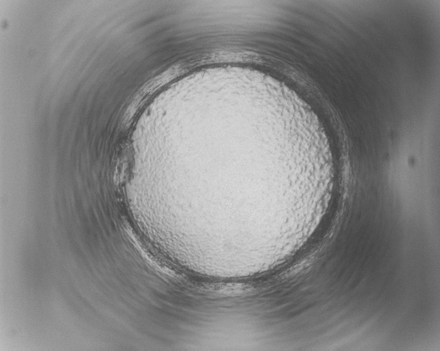 X0000051260841200507152213