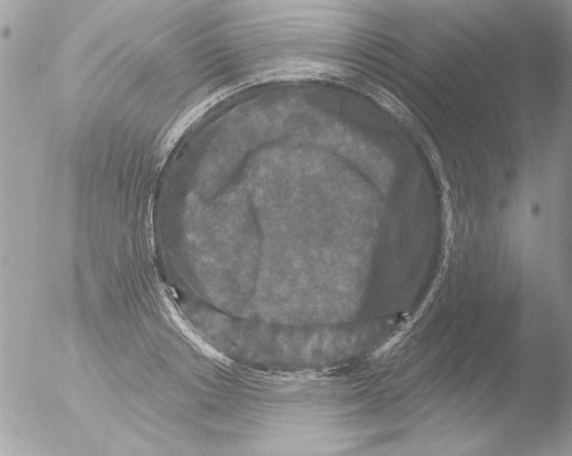 X0000051260842200507152213