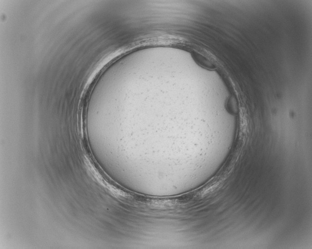 X0000051260843200507152213