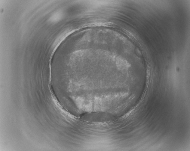 X0000051260844200507152213