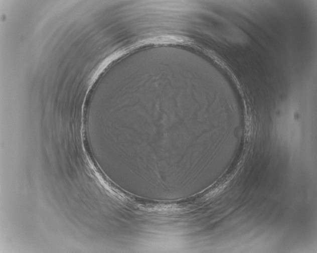 X0000051260845200507152214