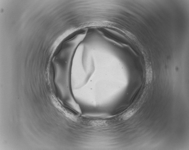 X0000051260846200507152214