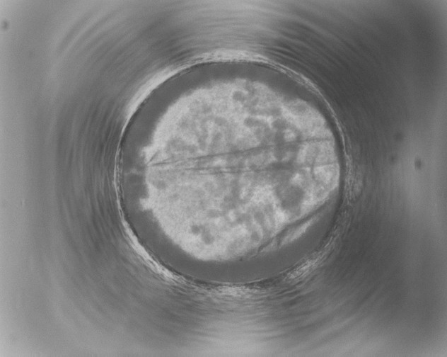 X0000051260847200507152214