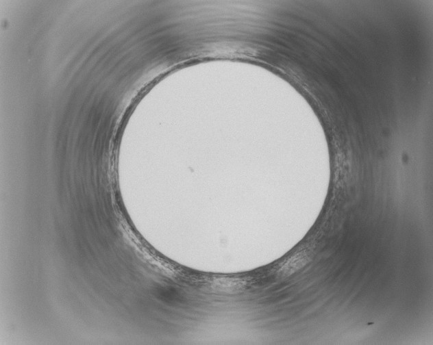 X0000051260848200507152214