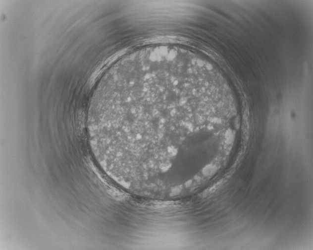 X0000051260849200507152214