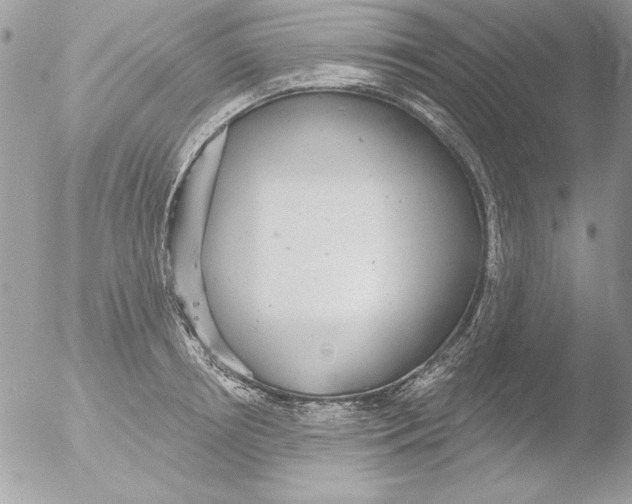 X0000051260850200507152214