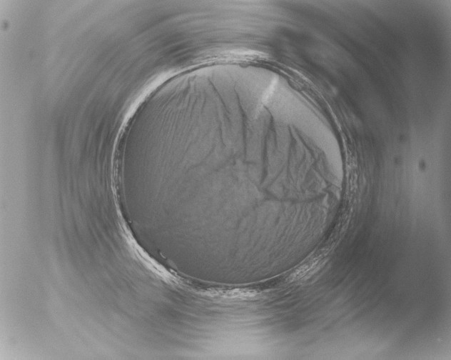 X0000051260851200507152214