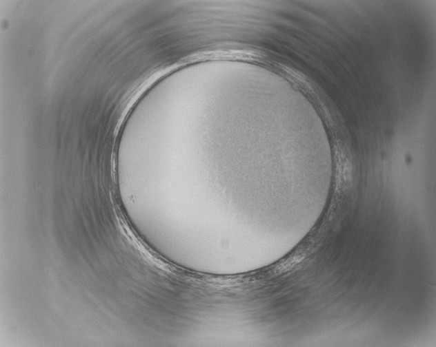 X0000051260852200507152214