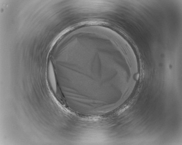 X0000051260853200507152214