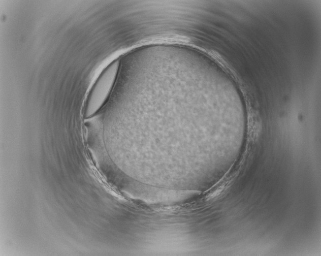 X0000051260854200507152214