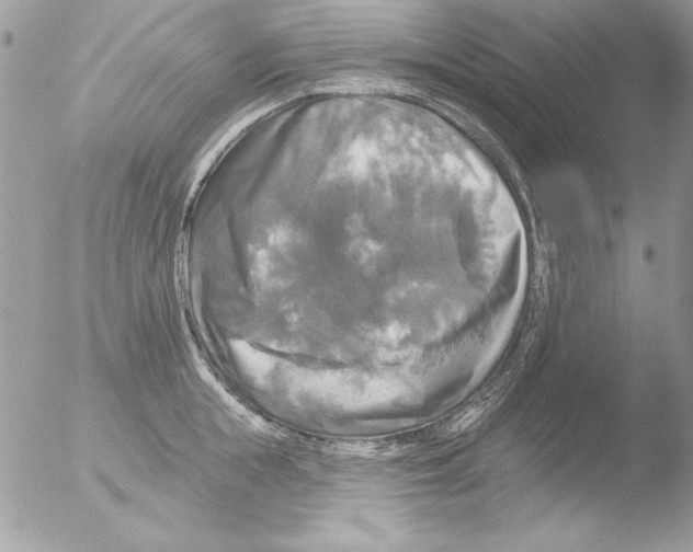 X0000051260855200507152214