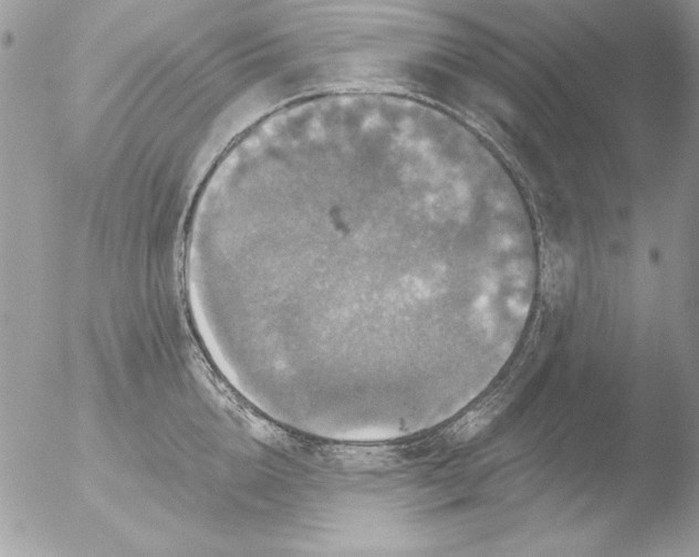 X0000051260856200507152214