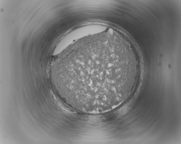 X0000051260857200507152214