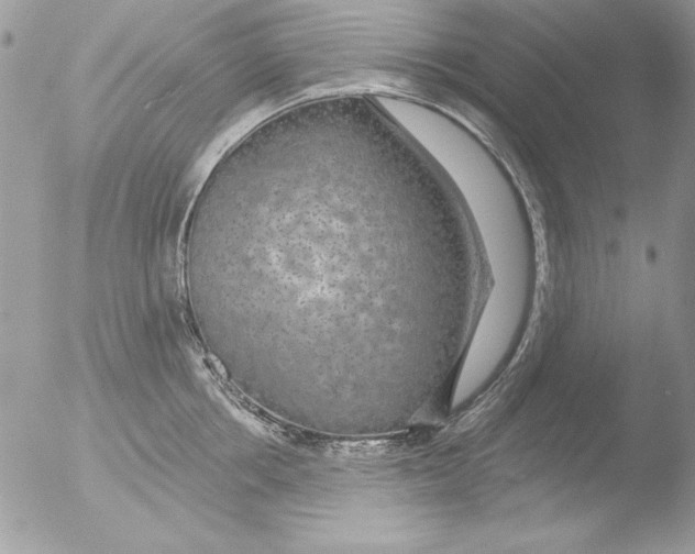 X0000051260858200507152214