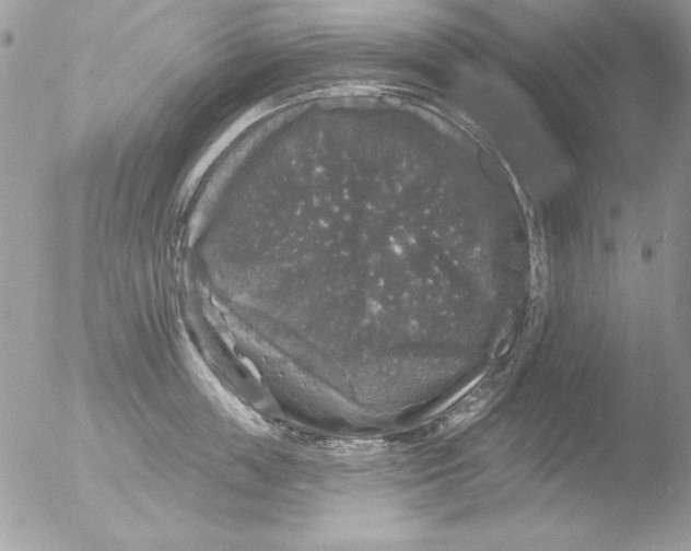 X0000051260859200507152214