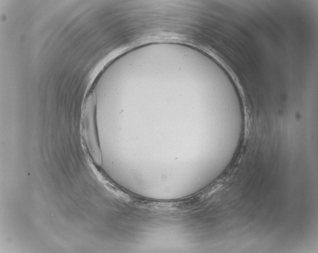 X0000051260861200507152214