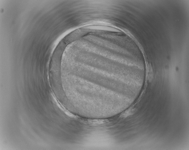 X0000051260862200507152214