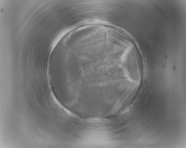 X0000051260863200507152214