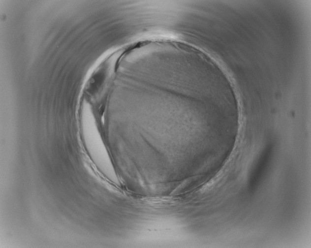 X0000051260864200507152214