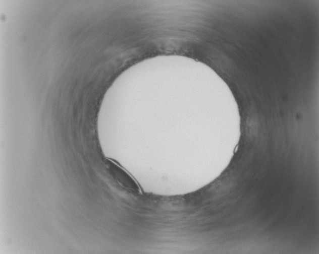 X0000051260865200507152213