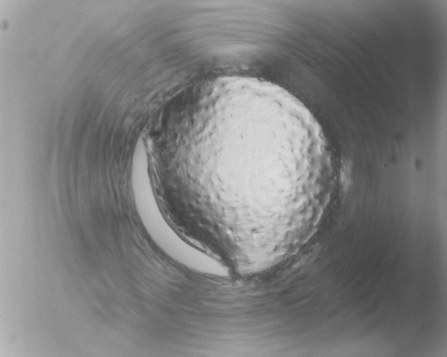 X0000051260867200507152213