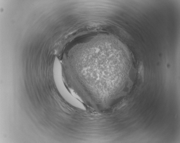 X0000051260868200507152213