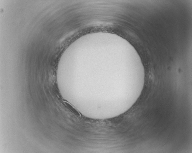 X0000051260869200507152213