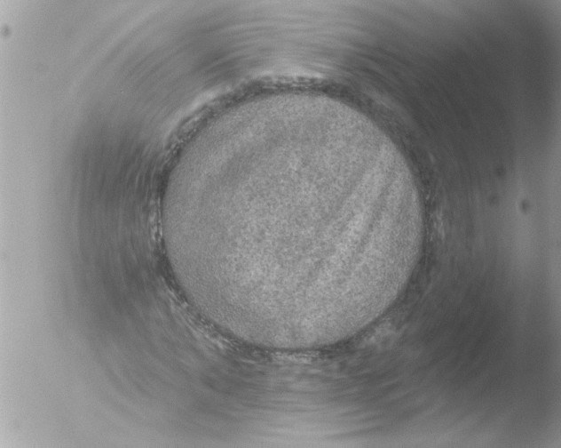 X0000051260870200507152213