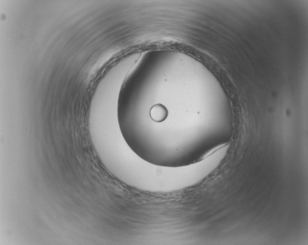 X0000051260871200507152213