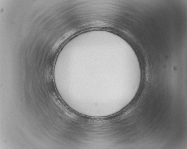 X0000051260873200507152213