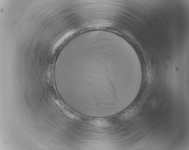 X0000051260874200507152213