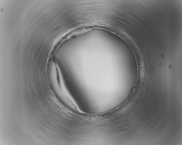 X0000051260876200507152213