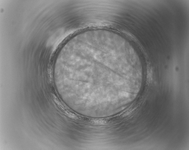 X0000051260878200507152213