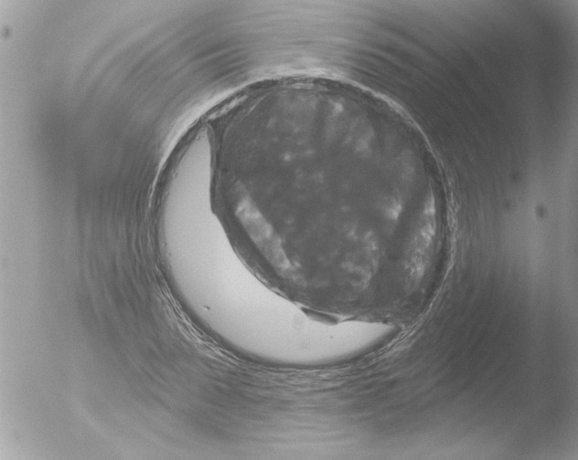 X0000051260879200507152213