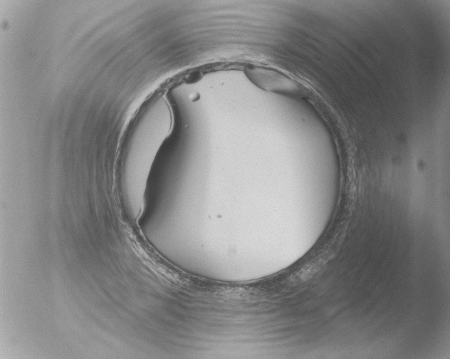 X0000051260880200507152213